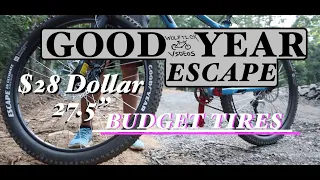 GT Aggressor Pro $28 Budget GOODYEAR ESCAPE MTB Tire REVIEW!!