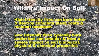 Understanding Wildfire Impacts