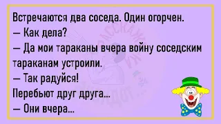 🤡Муж Возвращается Домой С Рыбалки...Большой Сборник Весёлых Анекдотов,Для Супер Настроения!