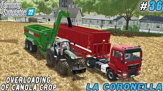 Harvesting Barley and Canola, Supplying Straw for Farming Essentials | La Coronella | FS 22 | ep #36