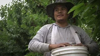 Un día en la vida de un trabajador agrícola migrante