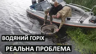 Водяний горіх,  Експедиція спільно з науковцями, Київський рибоохоронний патруль