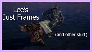 Lee's Just Frames and Beginner Tips