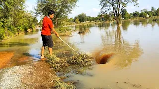 Removal Plants Clogged Culvert Drain Flood Water