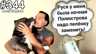 Шлак шоу биза . Почему #бузова не выходит замуж?