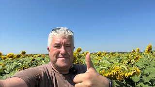 Соя‼️це шанс вижити😱посівмат‼️вплив геліантекса на врожайність🌻💙💛