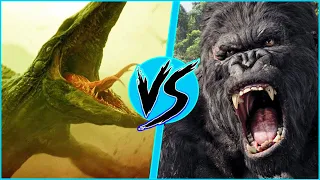 King Kong VS Skullcrawler | BATTLE ARENA | Godzilla vs Kong | DanCo VS