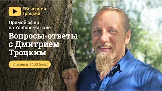 Вопросы и ответы с Дмитрием Троцким. Онлайн-встреча