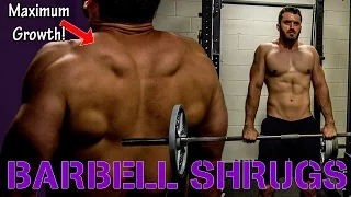 How to Perform Barbell Shrugs! Maximum Muscle Growth for the Traps! Technique and Form