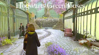 Exploring The Herbology Greenhouses | Hogwarts Legacy Tour (ambience)