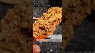 Rico don - Mary Jane