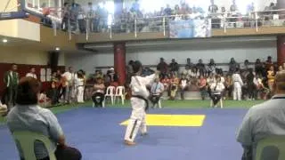 Palarong Pambansa | Taekwondo