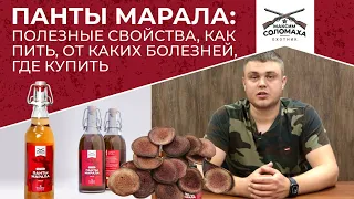 Панты марала оленя - полезные свойства, как пить, от каких болезней, рецепт для мужчин, где купить