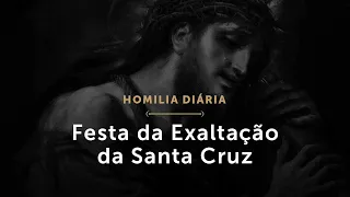 Festa da Exaltação da Santa Cruz (Homilia Diária.1578)