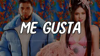 Shakira, Anuel AA - Me Gusta (Expert Video Lyrics)