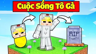 TÔ GÀ THỬ THÁCH 24H CÓ CUỘC ĐỜI TỪ NHỎ TỚI LỚN TRONG MINECRAFT*CUỘC SỐNG CỦA TÔ GÀ TỪ BÉ ĐẾN LỚN