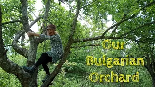 BULGARIAN Orchard Tour and a Bee Bath !