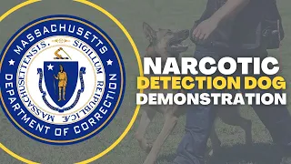 Narcotic Detection Dog Demonstration