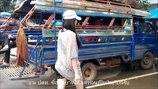 ท่องเที่ยวลาวใต้ ที่ราบสูงโปโลแวน และน้ำตกตาดเสือ - ส.ค.2019