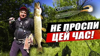 На що клюють щука та окунь в травні? Вибір спінінга та приманки для річки