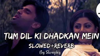 Tum Dil Ki Dhadkan Mein [Slowed + Reverb]  || Lofi Music || @Slowphy