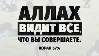 Аллах видит все что вы совершаете