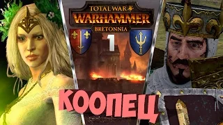 🔞Бретонния - Кооператив Master KBAC и Enterprise | Total War: Warhammer