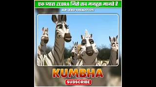 Ek Pyaara ZEBRA Jise Sb मनहूस मानते है 🥺🦓💯 Khumba Movie Explanation #shorts #movieexplainedinhindi