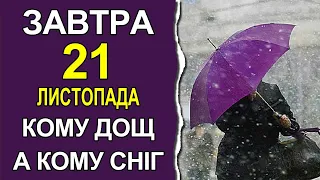 ПОГОДА НА ЗАВТРА: 21 ЛИСТОПАДА 2022 | Точна погода на завтра в Україні