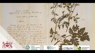 Stories from Plant Collections: Science, History and Culture