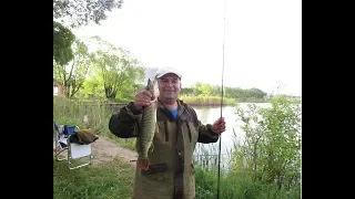 Ловим карась,щука,Клёвое озеро,июнь. Catch carp, pike, Cool lake,June