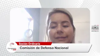 COMISIÓN DE DEFENSA NACIONAL | CONGRESO PERÚ | 19/12/22