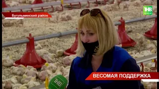 Птицеферма в Татарстане на 10 000 голов бройлеров | Инсталляция SAGRADA