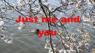 COUNT ON YOU By Tommy Shaw w lyrics