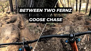 Between Two Fernz + Goose Chase - Best Trails at Tokul East
