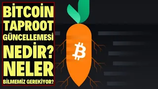 Bitcoin Taproot Güncellemesi Nedir? Neler Bilmemiz Gerekiyor? l BİTCOŞAR