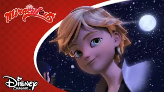 🎄 Vánoční nálada | Kouzelná Beruška a Černý kocour | Disney Channel Česká republika