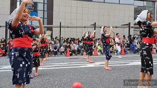 フェスタ町田2024年