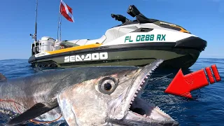 Spearfishing Offshore with a SeaDoo! - TONS OF LIFE!