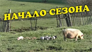 Новый сезон. Начало (05.24) | Чайники в Деревне