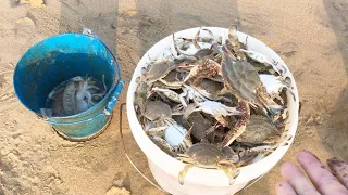 Laowang homemade artifact sets of crabs, caught a dozen easily, human beings are too cunning