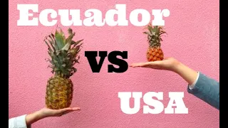 2023 USA vs Ecuador Cost of Living Comparison, How Much Can You Save by Moving to Ecuador?