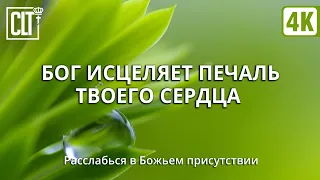 Исцеление ❤️‍🩹 сердца через принятие Слова | Звук дождя и пение птиц | Смотри тайм-коды | Relaxing