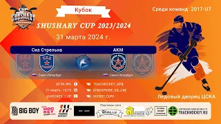 ХК "СКА Стрельна"-ХК "АКМ"/КУБОК SHUSHARY CUP, 31-03-2024 15:15