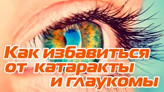 Как полностью и без операций избавиться от катаракты и глаукомы: профессор медицины Владимир Купеев