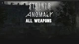 All Weapons In S.T.A.L.K.E.R. Anomaly