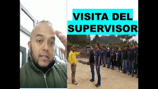 TUTORIAL  VISITA DEL SUPERVISOR