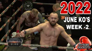 MMA & Boxing Knockouts I June 2022 Week 2