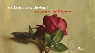 ...fikrimin incinen gülü