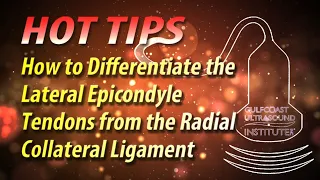 How to Differentiate the Lateral Epicondyle Tendons from the Radial Collateral Ligament